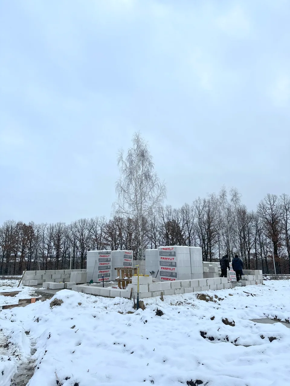Ход строительства в ноябре 2025
